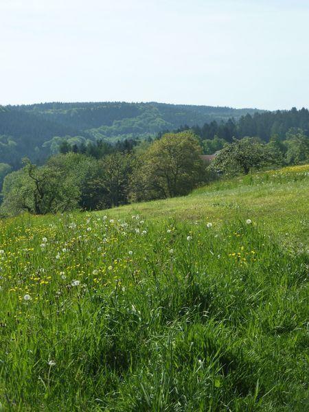 Haus Waldeck Wald-Michelbach Quarto foto
